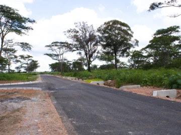 Stands & Residential Land